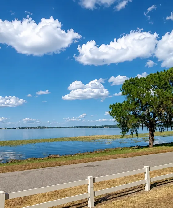 A lake near Yasmin's home in Florida